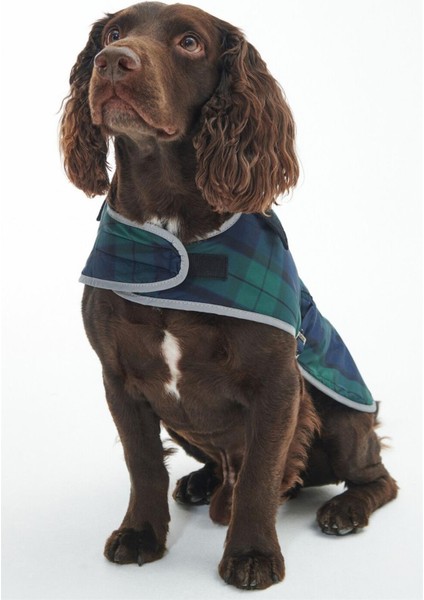 Wetherham Ekose Köpek Montu NY91 Blackwatch Tartan