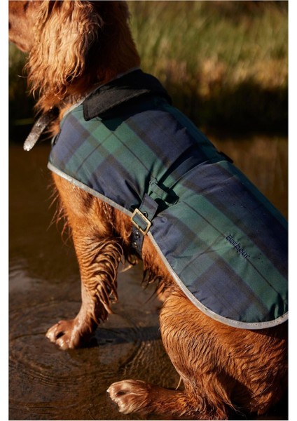 Wetherham Ekose Köpek Montu NY91 Blackwatch Tartan