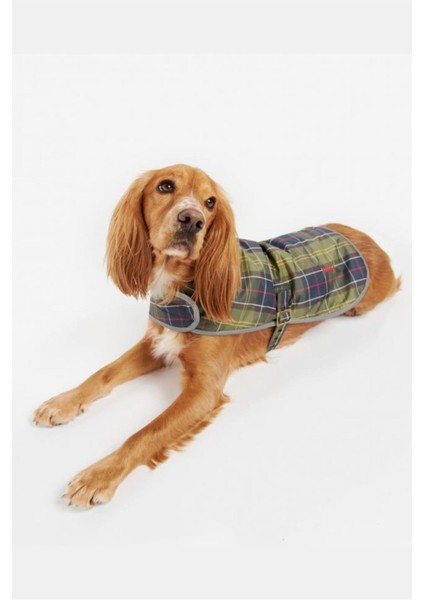 Wetherham Ekose Köpek Montu TN11 Classic Tartan