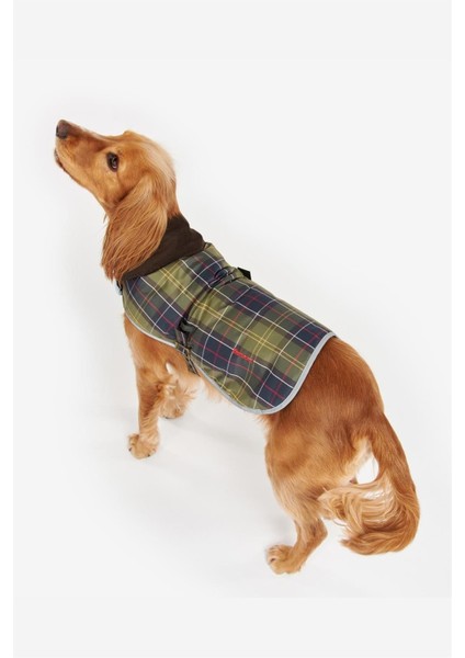 Wetherham Ekose Köpek Montu TN11 Classic Tartan