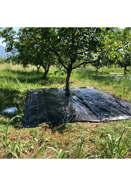 5x4 Metre Zeytin Sergeni Zeytin Toplama Örtüsü Fındık Fıstık Dut Toplama Filesi Hasat Taban Örtüsü