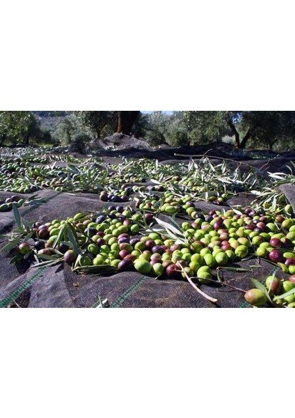 5x4 Metre Zeytin Sergeni Zeytin Toplama Örtüsü Fındık Fıstık Dut Toplama Filesi Hasat Taban Örtüsü