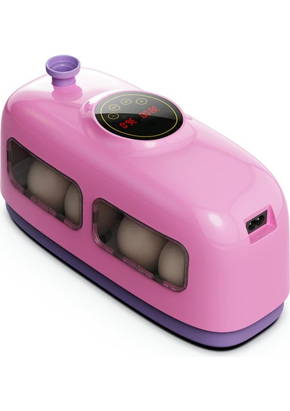 Kuşlar Için Yumurtalı Küçük Yumurta Inkübatör (Yurt Dışından) modelleri