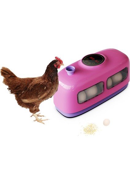 Kuşlar Için Yumurtalı Küçük Yumurta Inkübatör (Yurt Dışından) fırsatları