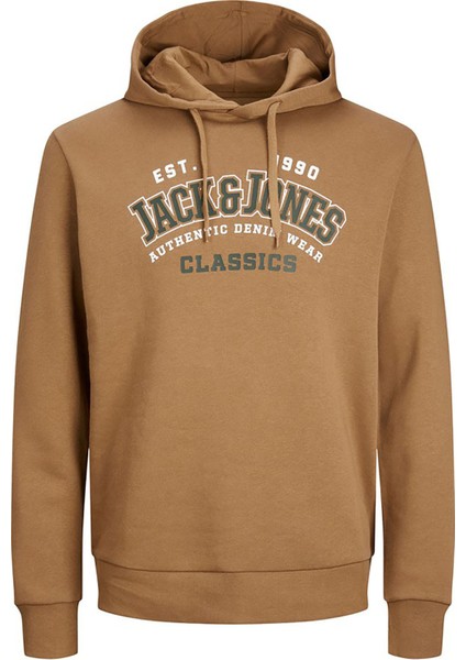 Erkek Kapşonlu Sweatshirt 12233597