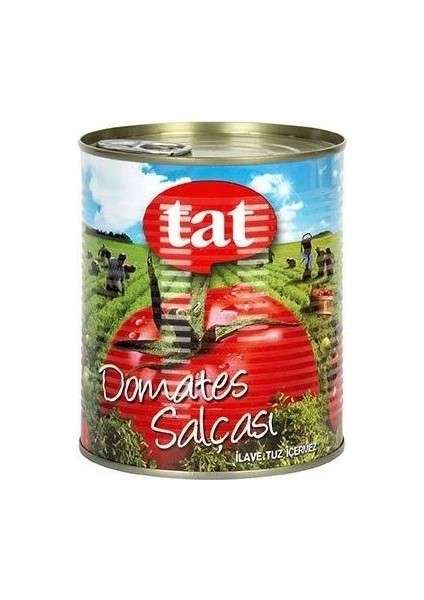 Domates Salçası Tat Domates Salçası 6 Adet 830 Gram fiyatları