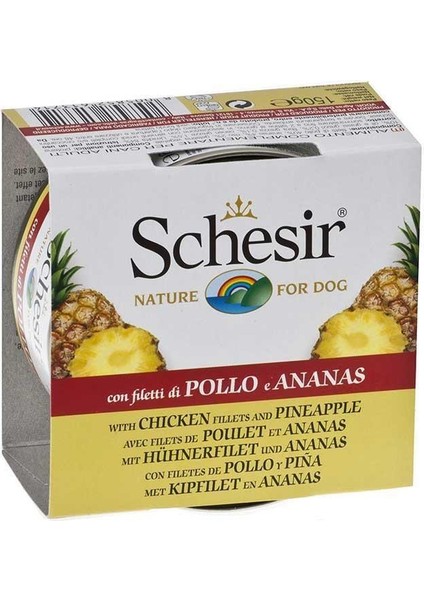Fruit Tavuk ve Ananaslı Yetişkin Köpek Konservesi 150 gr x 6 Adet