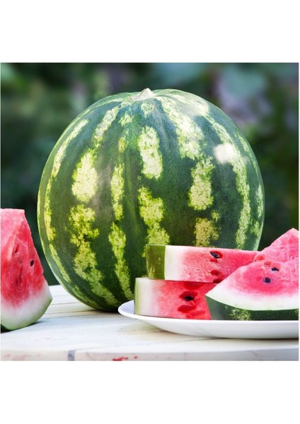Lezzetli Üstün F1 Karpuz Tohumu -10 Tohum
