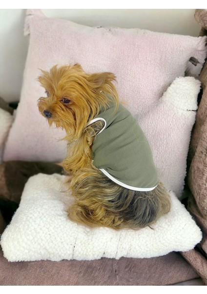 Midnight Green Atlet Köpek Kıyafeti Köpek Elbisesi
