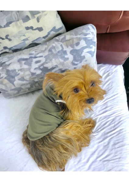 Midnight Green Atlet Köpek Kıyafeti Köpek Elbisesi