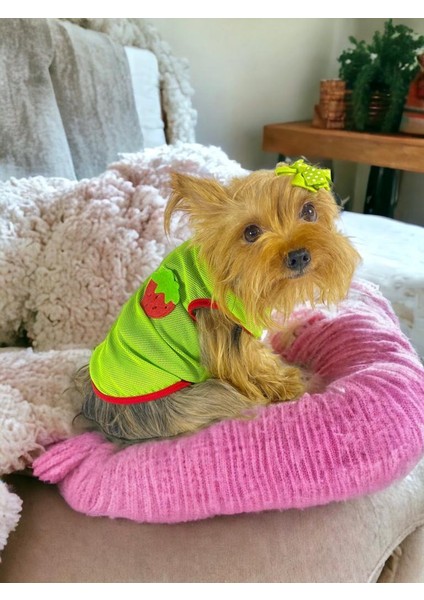 Pink Strawberry Atlet Köpek Kıyafeti Köpek Elbisesi