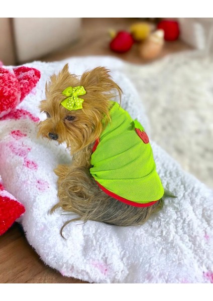 Pink Strawberry Atlet Köpek Kıyafeti Köpek Elbisesi fiyatları