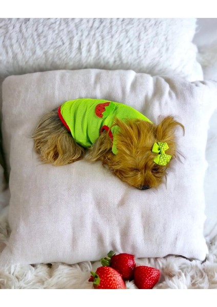 Pink Strawberry Atlet Köpek Kıyafeti Köpek Elbisesi indirimleri