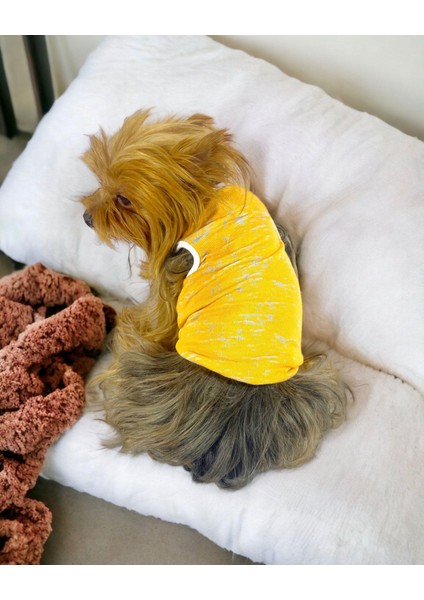 Orange Stripe Atlet Köpek Kıyafeti Köpek Elbisesi