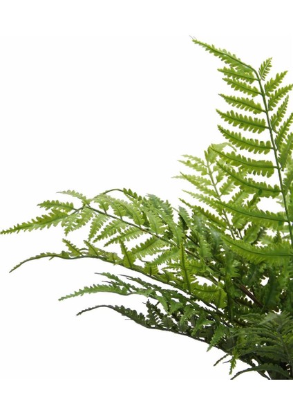 Yapay Panjur Demeti 45 cm fiyatları