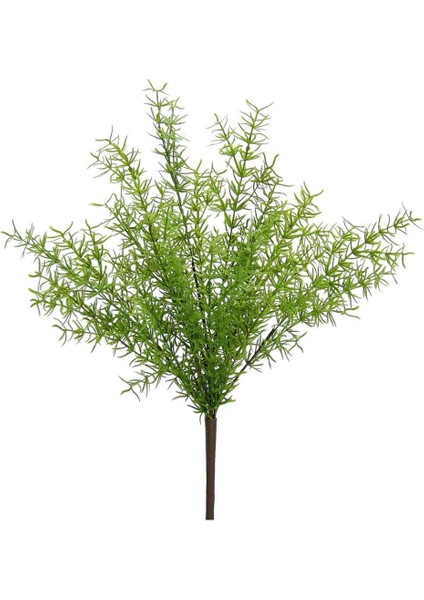 Yapay Asparagus Demeti 40 cm