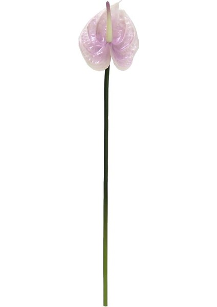 Yapay Antoryum Çiçeği Canlı Dokunuş Lila 40 cm