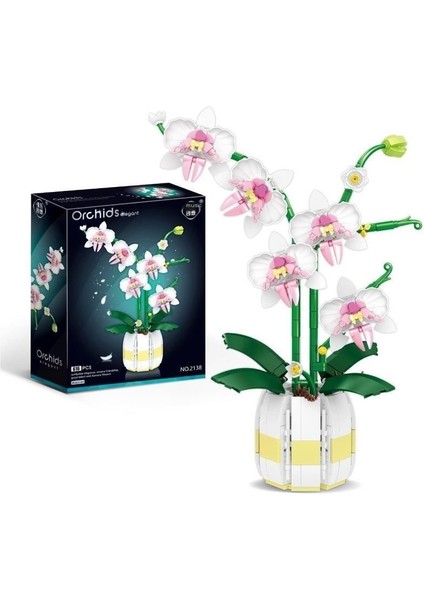 Korunmuş Çiçek Montajlı Dekorasyon Phalaenopsis Çiçek Masaüstü Dekorasyonu (Yurt Dışından)