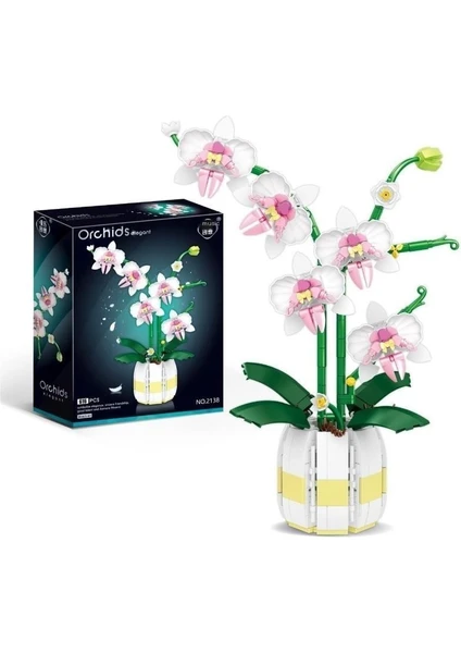 Korunmuş Çiçek Montajlı Dekorasyon Phalaenopsis Çiçek Masaüstü Dekorasyonu (Yurt Dışından)