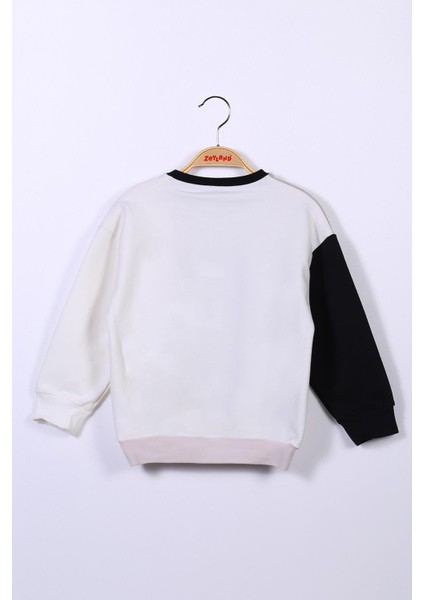 Erkek Çocuk Renk Bloklu Sweatshirt
