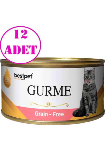 Gurme Kedi Konservesi Somonlu Sterilised 100 gr 12 Ad