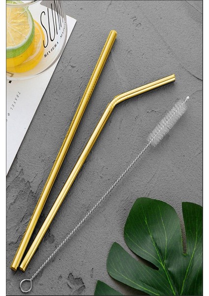 Etika 4 Lü Paslanmaz Çelik Pipet + Temizleme Fırçası