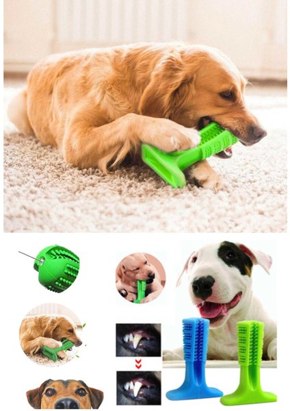 Etika Köpek Diş Temizleyici Kaşıyıcı Oyuncak Kaşıma Temizleme Oyuncağı