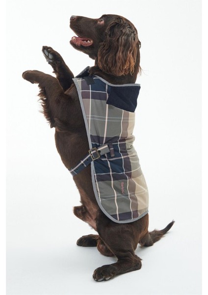 Wetherham Ekose Köpek Montu PI19 Gardenia Tartan