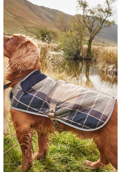 Wetherham Ekose Köpek Montu PI19 Gardenia Tartan