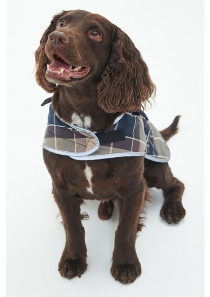 Wetherham Ekose Köpek Montu PI19 Gardenia Tartan