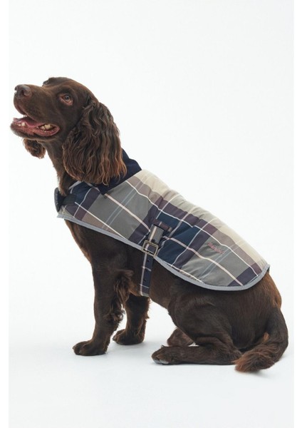 Wetherham Ekose Köpek Montu PI19 Gardenia Tartan