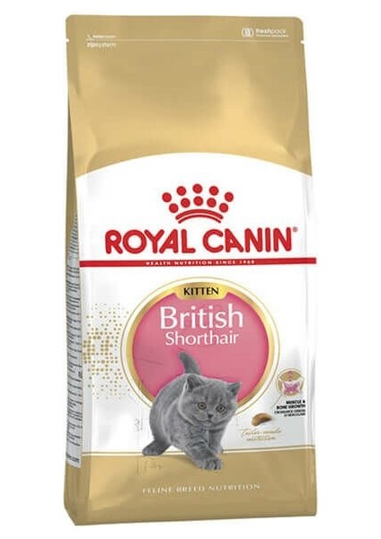British Shorthair Kitten Yavru Kedi Maması 2 kg
