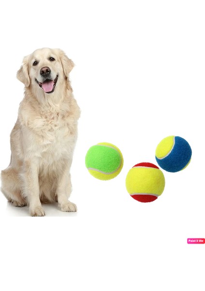 TT-400  12 Adet Taşınabilir Filede Renkli Tenis Topu / Köpek Oyuncağı