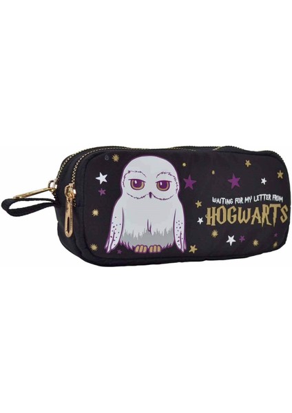 Harry Potter Hogwarts Hedwig Kalem Kutusu