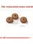 Light Weight Care Kedi Maması - 8 kg 3