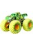 Monster Trucks Karanlıkta Parlayan Araçlar Paketi, 3 yaş ve üzeri, HCB57 4