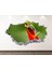 Ağaç Kurbağası Full Hd Baskı 3D Modern Duvar Sticker 1