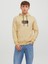 Kapüşonlu Standart Kalıp Sarı Erkek Sweatshirt 12242197 1