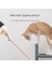 USB Şarj Edilebilir Kızılötesi Kedi Tanıtım Kalemi (Yurt Dışından) 2