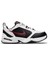 Air Monarch Iv (4e) 101 Renk 101 1