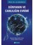 Dünyanın ve Canlılığın Evrimi 1