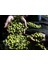 5x4 Metre Zeytin Sergeni Zeytin Toplama Örtüsü Fındık Fıstık Dut Toplama Filesi Hasat Taban Örtüsü 4