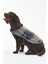 Wetherham Ekose Köpek Montu PI19 Gardenia Tartan 5