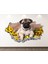 Sevimli Pug Full Hd Baskı 3D Modern Duvar Sticker 1