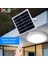 100W Güneş Enerjili Solar Bahçe Çevre Lambası Dls 1