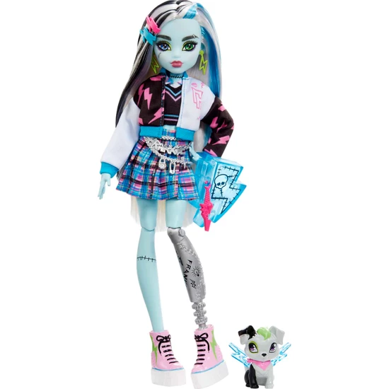 Monster High Frankie Stein Ana Karakter Bebekler, 4 yaş ve üzeri, HHK53