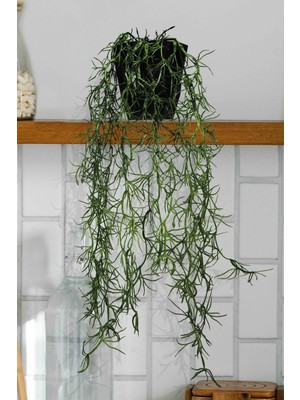 Lilac Home Yapay Çiçek Sarkan Ispanyol Yosunu (Tillandsia Usneoides ) Demeti