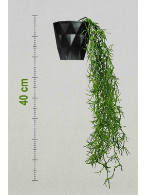 Lilac Home Yapay Çiçek Sarkan Ispanyol Yosunu (Tillandsia Usneoides ) Demeti