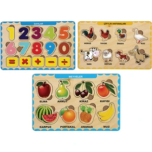 3 Adet Ahşap Bul Tak Eğitici Yapboz Puzzle