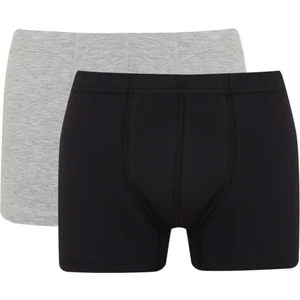 Regular Fit 2'li Boxer A5990AX23AU